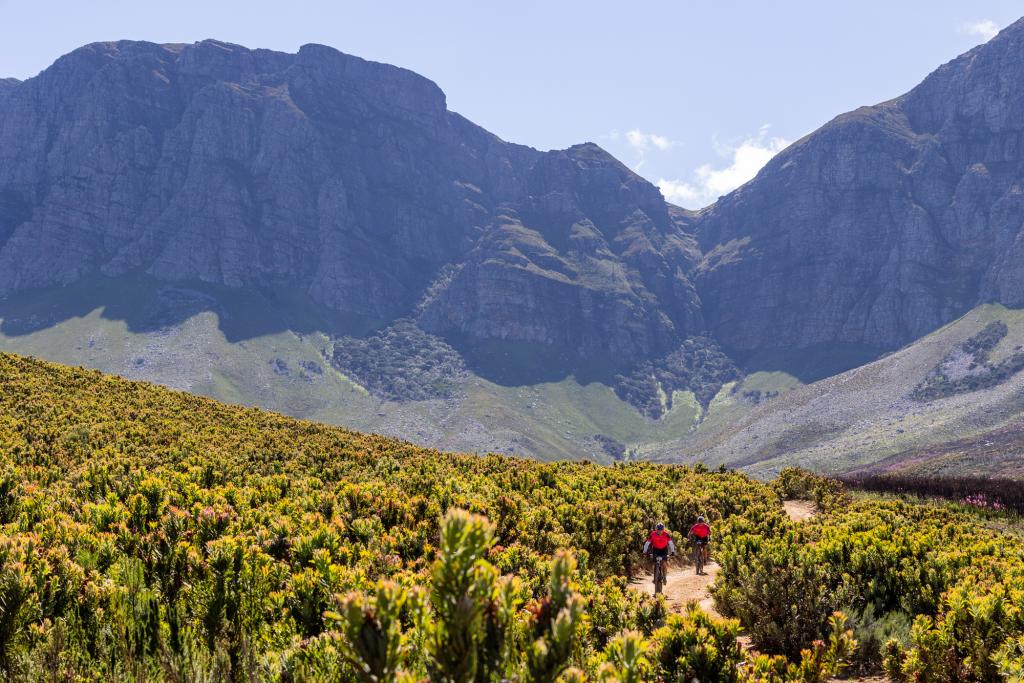 Wines2Whales - Lourensford