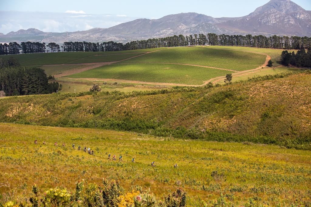 Riders in the middle of a field at Wines2Whales Stage 2 Chardonnay