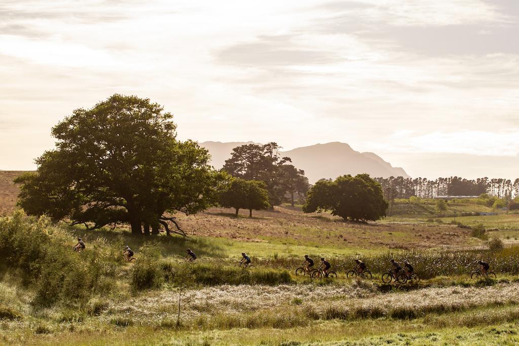 Riders riding through the pure nature at Wines2Whales Stage 2 Chardonnay