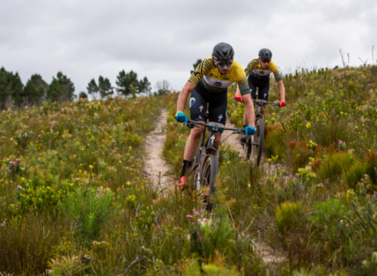 Two bikers heading down a meadow