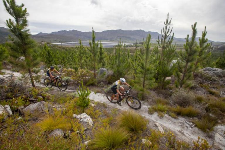 A biker jumping down a dirt trail