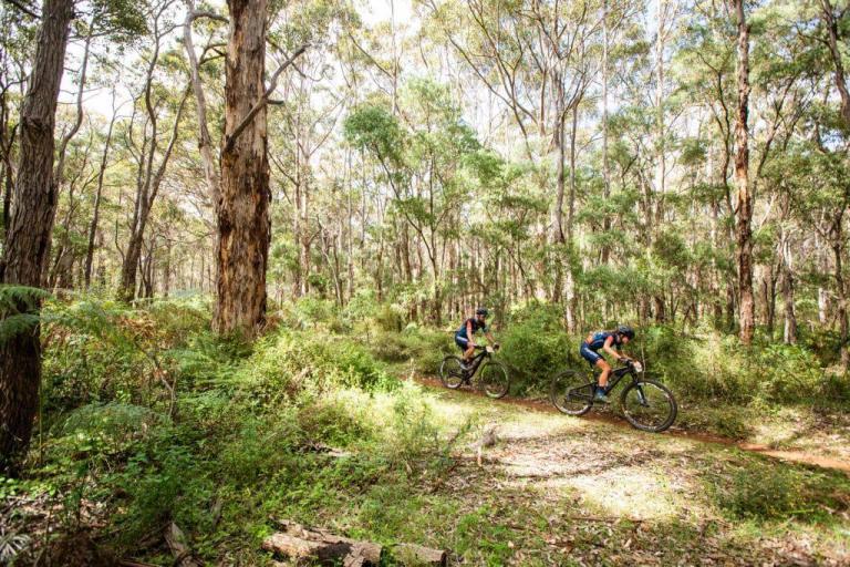 Two bikers in a dense forest