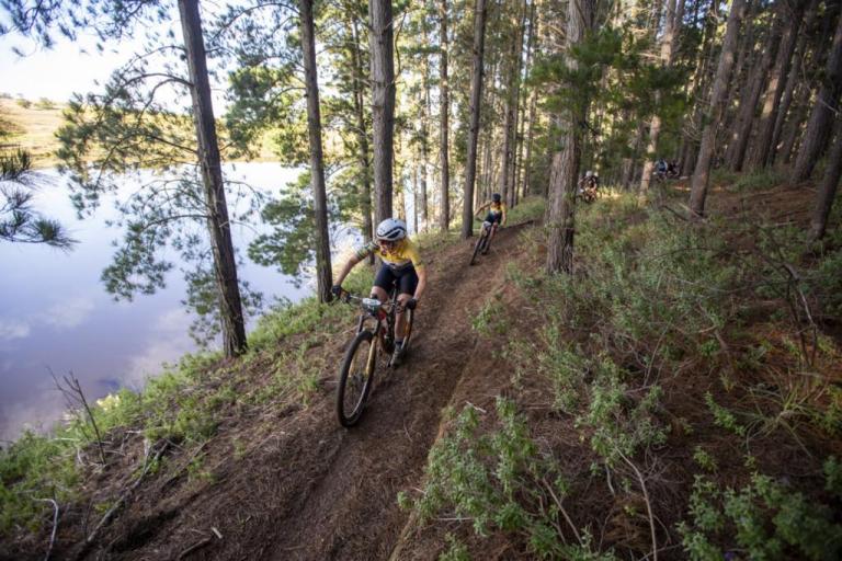 Two bikers in a forest