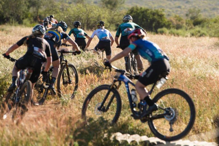 Bikers on a narrow trail, facing away from camera