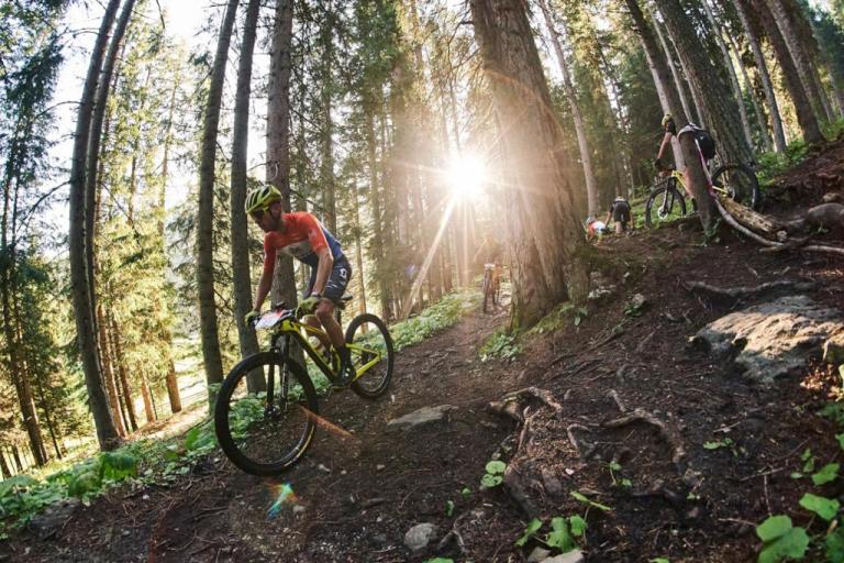 Technologie leading a pack through a forest