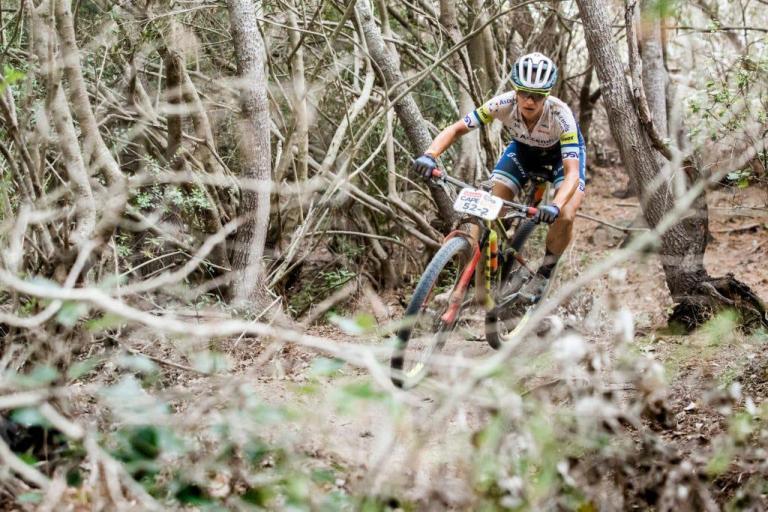 a shot of a biker through a patch of brambles