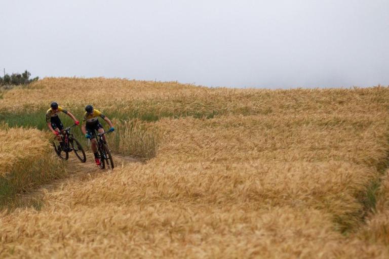 Riders during the 2019 FNB Wine2Whales Shiraz 3 day mountain bike event stage 3 from Oak Valley to Onrus. Image by Nick Muzik