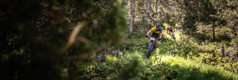 Two bikers in dense greenery
