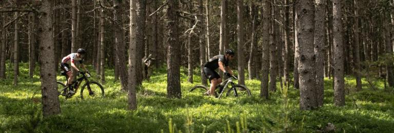 Two bikers in dense woods