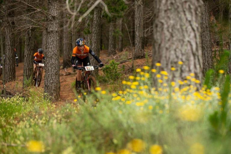 Two bikers peddling through the forest