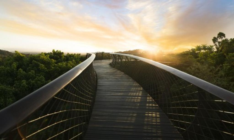 Cape_Epic_Botanical_Gardens