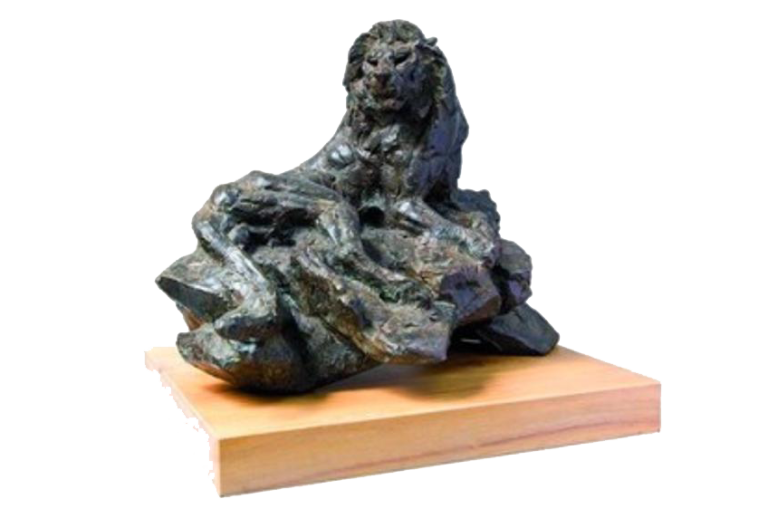 The Last Lion Trophy of Cape Epic