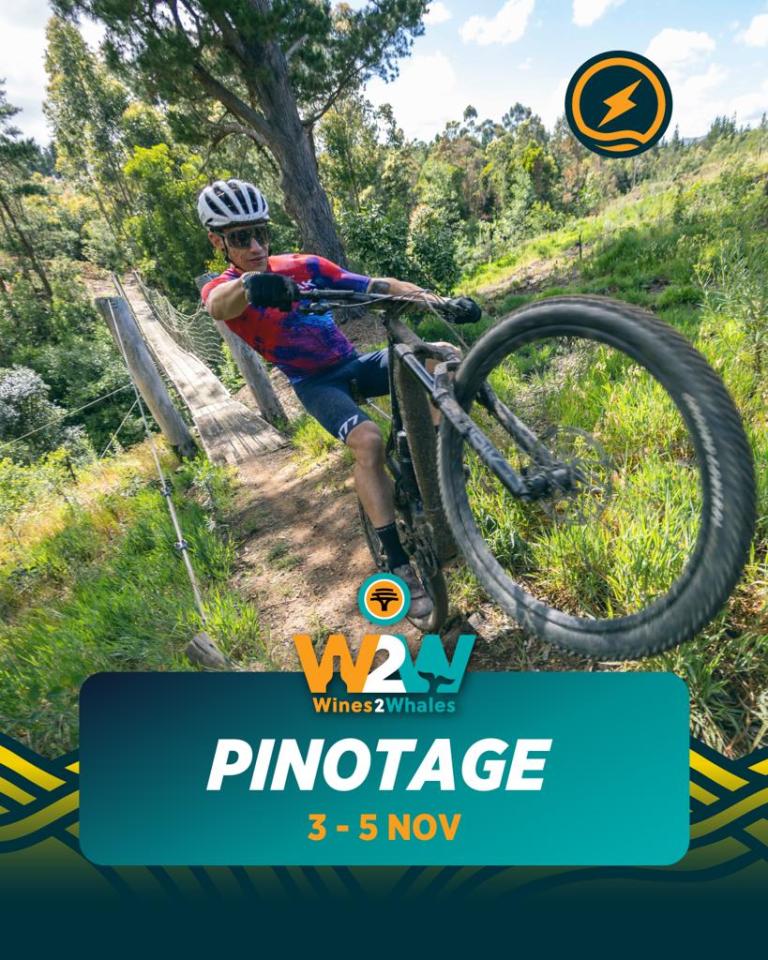 Pinotage-01_large