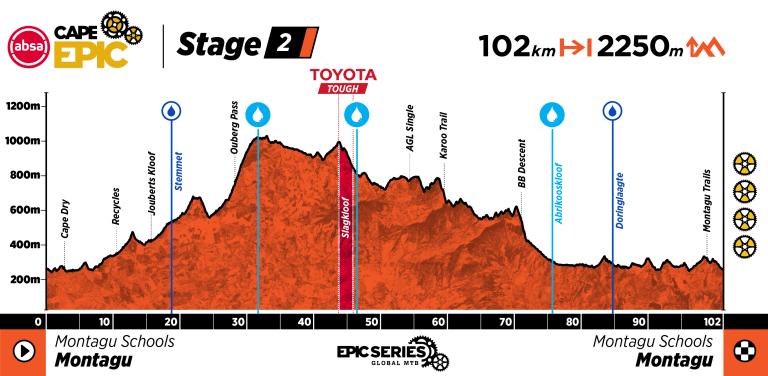 ACE26_Profile_Stage 2