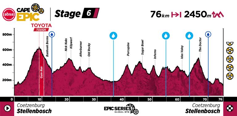 ACE26_Profile_Stage 6