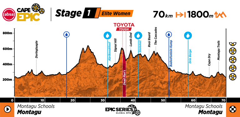 ACE26_Profiles_Women_Stage 1.png