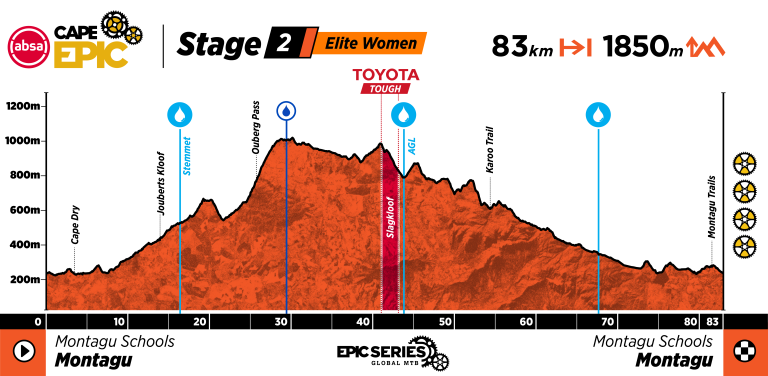 ACE26_Profiles_Women_Stage 2