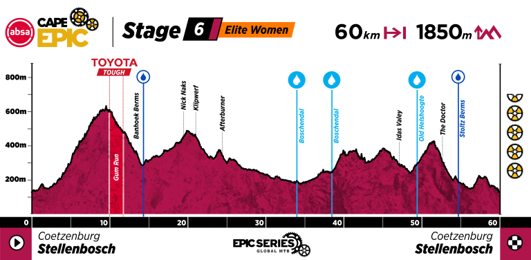 ACE26_Profiles_Women_Stage 6
