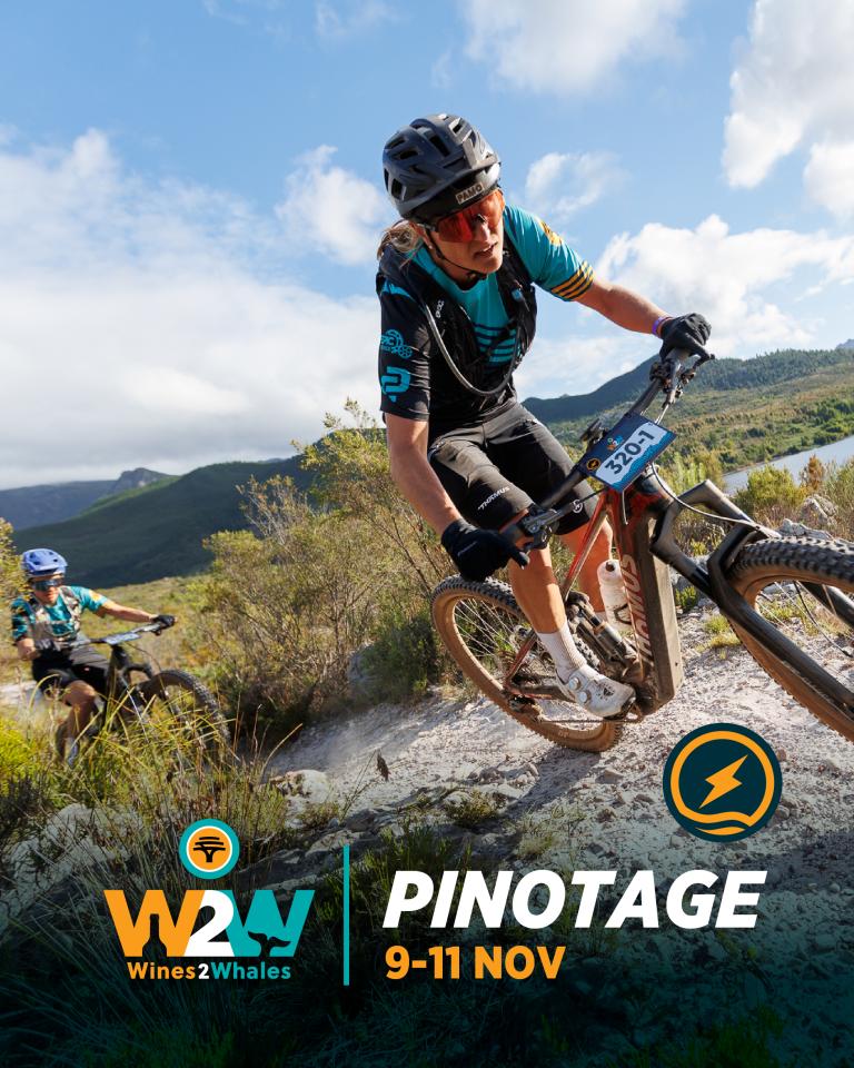 Pinotage-2026