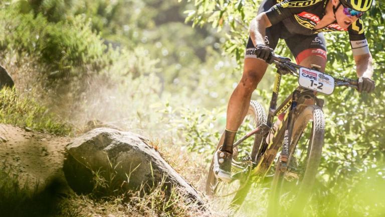 forestry shot of a biker crouched over and heading through the greenery [Swiss Epic]