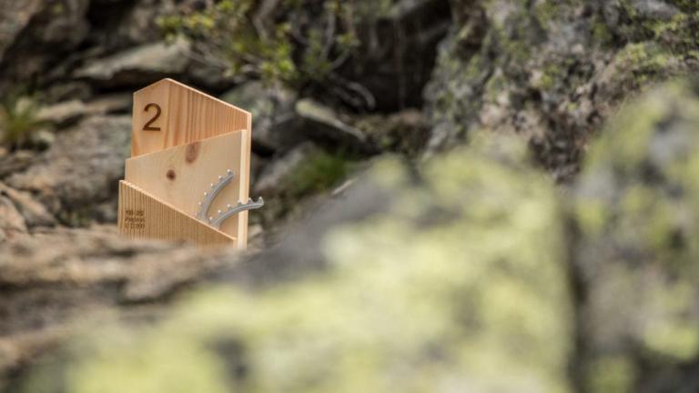 Alpine trophy with the number 2 on it [Swiss Epic]
