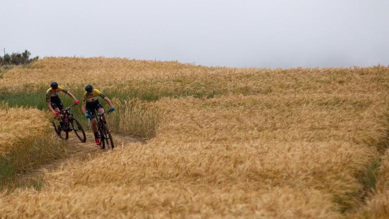 Riders during the 2019 FNB Wine2Whales Shiraz 3 day mountain bike event stage 3 from Oak Valley to Onrus. Image by Nick Muzik [FNB Wines2Whales]