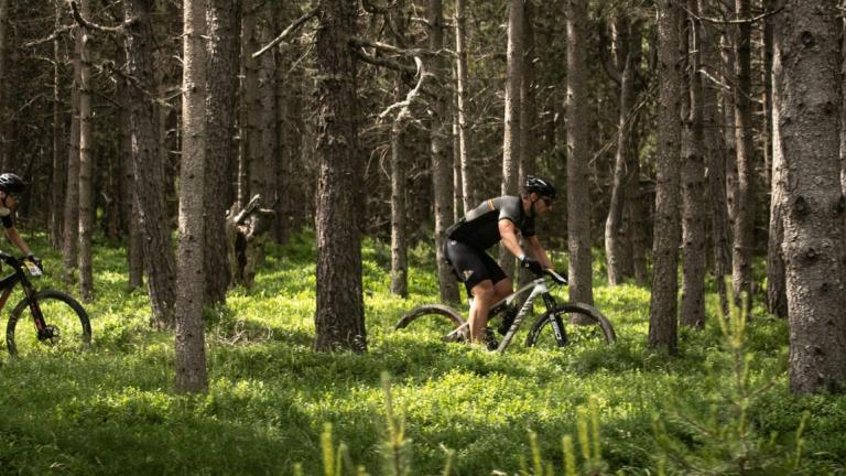 Two bikers in dense woods [Andorra MTB Classic-Pyrenees]