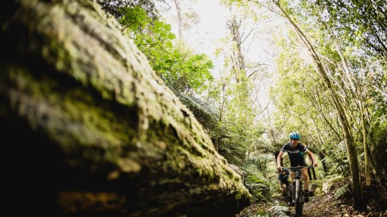 A biker in dense greenery most likely in Rotorua [The Pioneer]