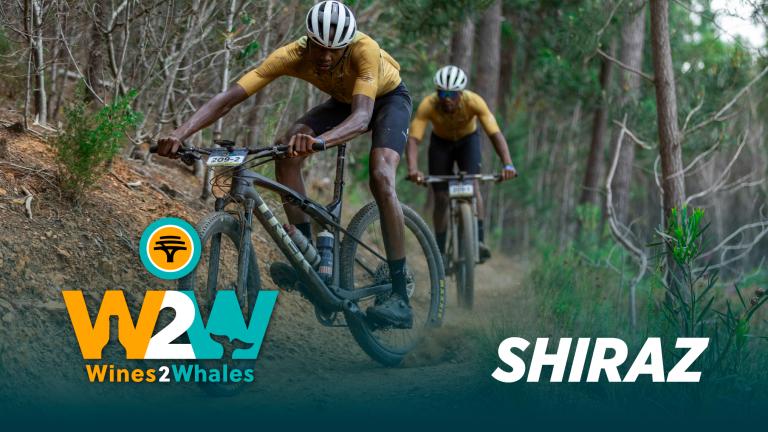 W2W25_Entries_Shiraz