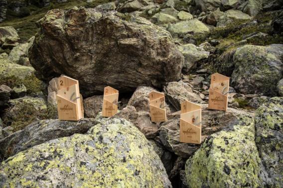 Wooden trophies at Swiss Epic