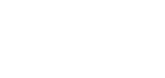 New Swiss Epic Logo 2026