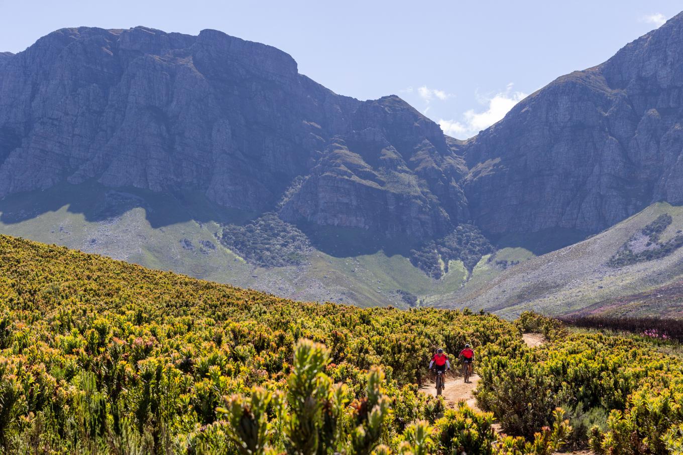Wines2Whales - Lourensford
