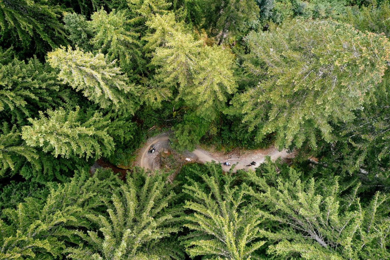 Bird's eye view of riders riding in the woods at Swiss Epic