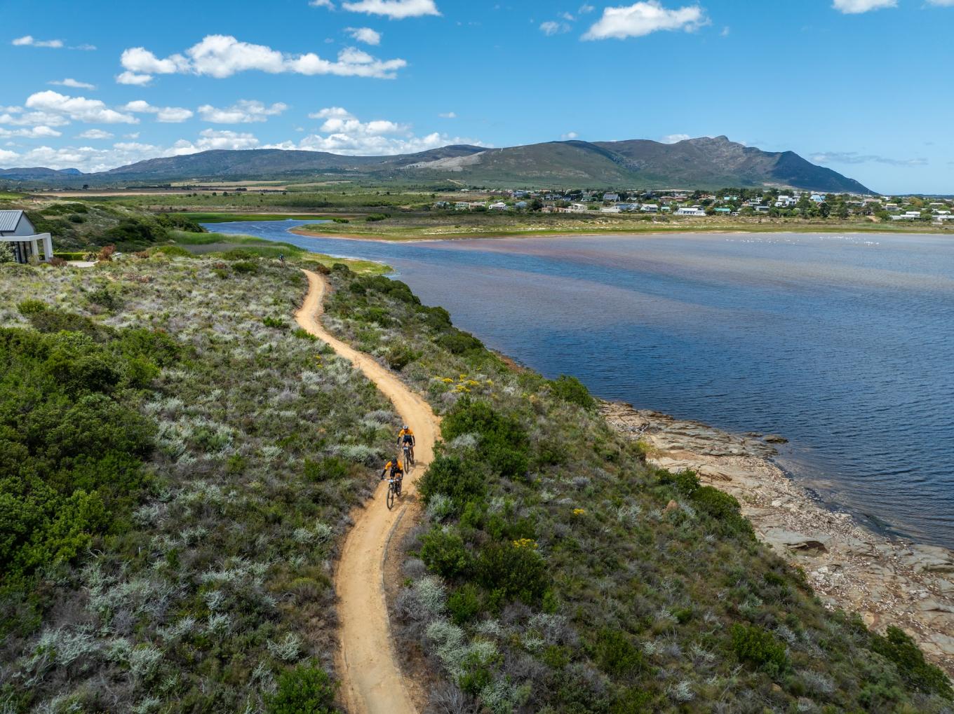 Benguela Cove - Wines2Whales