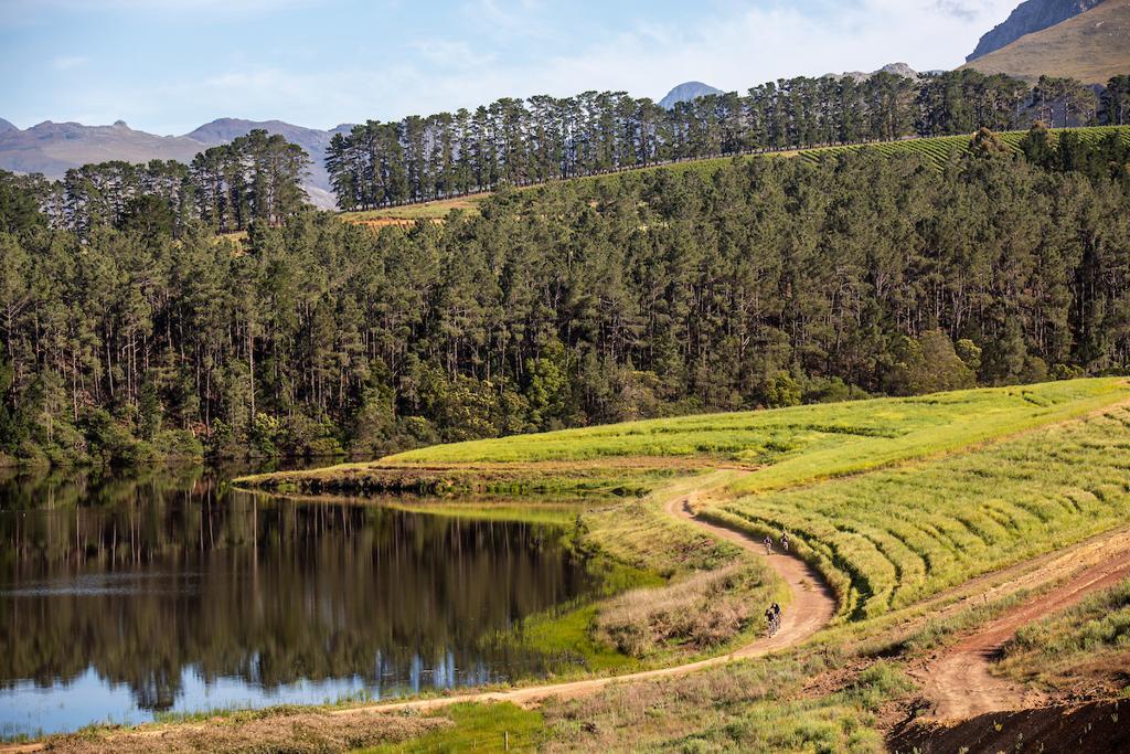 Pure nature with a lake and woods at Wines2Whales
