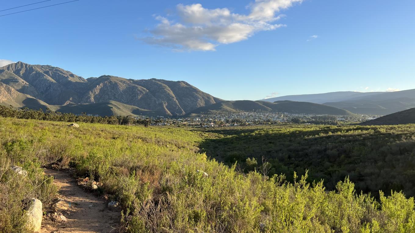 Greyton