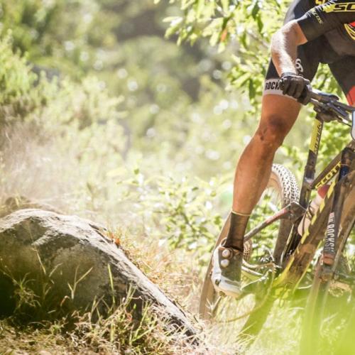 forestry shot of a biker crouched over and heading through the greenery [Swiss Epic]