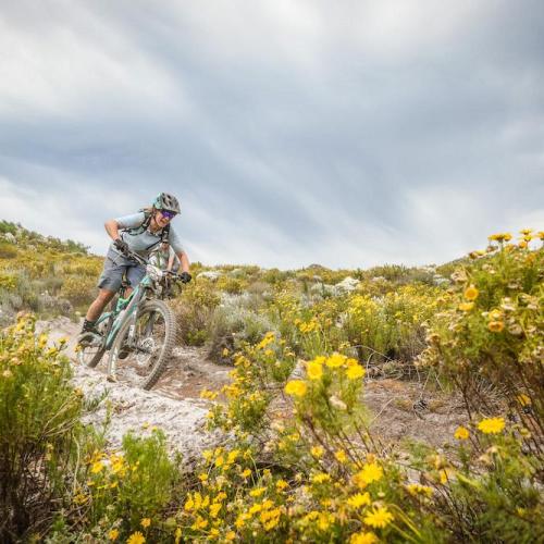 during the 2021 FNB Wine2Whales Shiraz 3 day mountain bike event, Stage 3 from Oak Valley to Lourensford. Image by Nick Muzik - PLEASE ENSURE THE APPROPRIATE CREDIT IS GIVEN TO THE PHOTOGRAPHER AND FNB W2W [Wines2Whales]