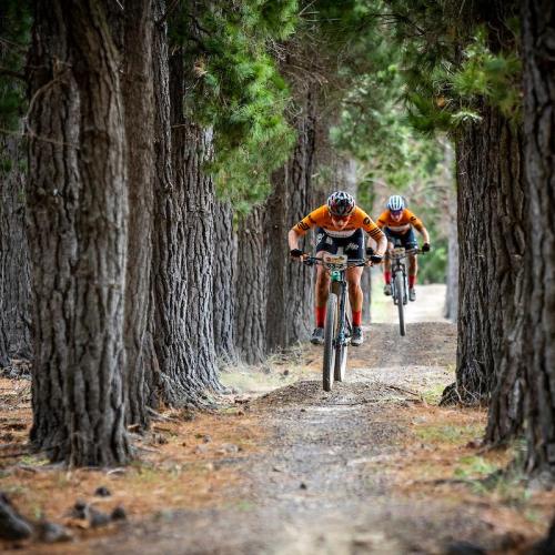 [Absa Cape Epic]