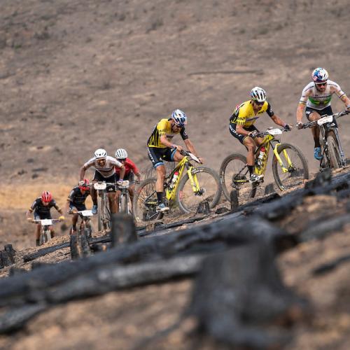 multiple bikers traversing a very bumpy hill [Epic Series]