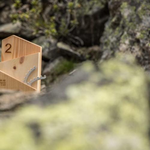 Alpine trophy with the number 2 on it [Swiss Epic]