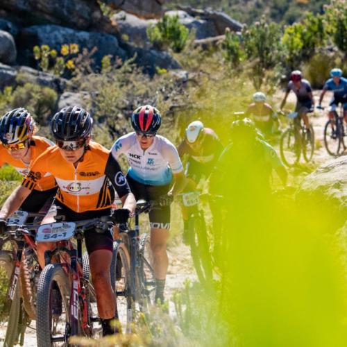 A shot through the bushes of Frei and Stigger leading the pack on the Absa Cape Epic [Epic Series]