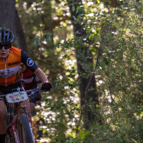Frei and Stigger in thick woods [Epic Series]
