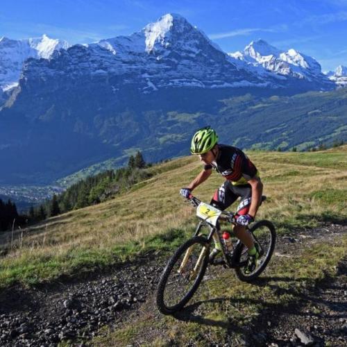 Looser and Stauffer peddling uphill