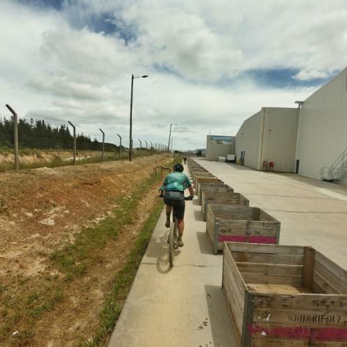 A biker riding by a ton of crates [FNB WInes2Whales]