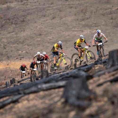 Multiple bikers heading up a rocky terrain [Absa Cape Epic]