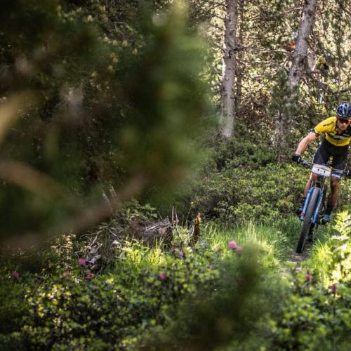 Two bikers in dense greenery [Andorra MTB Classic-Pyrenees]